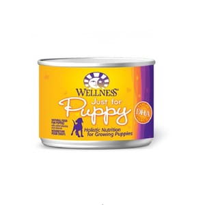 WELLNESS WELLNESS Complete Health 狗罐頭 幼犬配方 6oz 6oz  正面圖