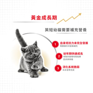 Royal Canin Royal Canin 貓糧 法國皇家貓糧 純種系列 英國短毛幼貓專屬配方 KBSH38 2kg 2kg  背面圖
