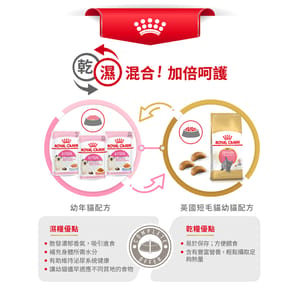 Royal Canin Royal Canin 貓糧 法國皇家貓糧 純種系列 英國短毛幼貓專屬配方 KBSH38 2kg 2kg  包裝圖