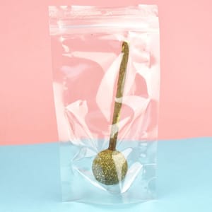 HelloDOG HelloDOG 玩具嚴選 逗貓薄荷球 木天蓼棒棒糖 正面圖
