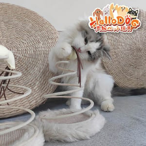 HelloDOG HelloDOG 貓玩具 彈簧瘋狂逗貓玩具麻球 1件 正面圖
