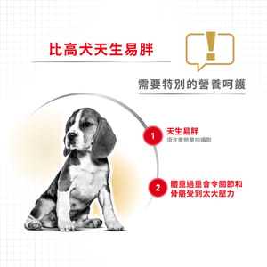 Royal Canin Royal Canin 狗糧 法國皇家狗糧 純種系列 比高成犬專屬配方 比高成犬糧 3kg 3kg  背面圖