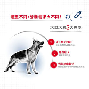 Royal Canin Royal Canin 法國皇家 狗濕糧 成犬營養主食濕糧 15個月大至8歲 140g 140g 背面圖