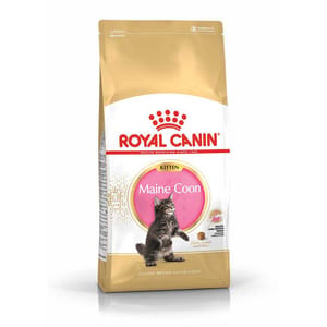 Royal Canin Royal Canin 貓糧 法國皇家貓糧 純種系列 緬因幼貓專屬配方 KMCO 10kg 10kg  正面圖
