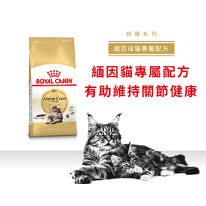 Royal Canin Royal Canin 貓糧 法國皇家貓糧 純種系列 緬因成貓專屬配方 10kg 10kg 正面圖