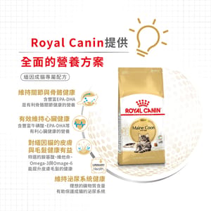 Royal Canin Royal Canin 貓糧 法國皇家貓糧 純種系列 緬因成貓專屬配方 10kg 10kg 側面圖