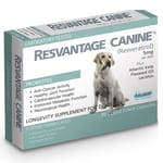 Resvantage Resvantage 白藜蘆醇犬用保健品 30粒 30粒 犬用 正面圖