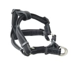 Buster Buster 反光網格胸帶 Reflective Mesh Step-in Harness 25mm 黑色 大碼   正面圖