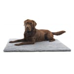 Buster Buster 人造羊毛床 Vet Beds 71cm x 61cm   正面圖