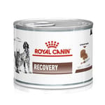 Royal Canin Royal Canin 處方糧 法國皇家 貓犬用罐頭 腸胃道系列 ICU重症營養處方補給罐頭  195g 195g 貓犬用 正面圖