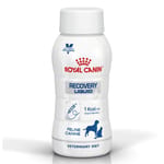 Royal Canin Royal Canin 法國皇家 獸醫處方 貓犬用營養液體食品 腸胃道系列 ICU重症營養處方營養液  200ml x 3支 200ml 貓犬用 正面圖