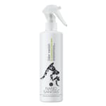 NanoSanitas NanoSanitas 納米銀除臭劑 250ml 250ml  正面圖
