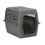 Petmate Petmate 寵物籠 貓籠狗籠 飛機籠系列 運輸飛機籠 中 32吋 x 22.5吋 x 24吋   正面圖