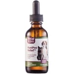 PetAlive PetAlive RuniPoo Relief™ 針對腹瀉狀況 50ml 50ml  正面圖