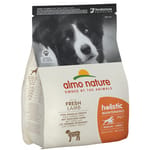 Almo Almo Nature Holistic 狗糧 羊肉 大粒裝 2kg 2kg  正面圖