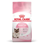 Royal Canin Royal Canin 貓糧 法國皇家貓糧 FHN 離乳貓及母貓營養配方 BA34 4kg 4kg  正面圖