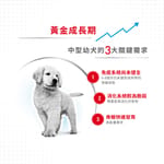 Royal Canin Royal Canin 狗糧 法國皇家狗糧 健康營養系列 中型幼犬營養配方 中型幼犬糧 AM32 4kg 4kg  背面圖