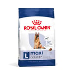 Royal Canin Royal Canin 狗糧 法國皇家狗糧 大型成犬5+營養配方 MAXI Adult 5+ 15kg 15kg  正面圖
