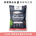 Go Go Native 愛爾蘭冠軍 頂級無穀物單一蛋白低敏嚴選狗糧 成犬三文魚 50g 中小型犬用 50g 犬用 正面圖
