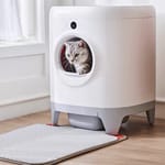 PETKIT PETKIT Pura X智能防夾全自動貓砂盆 貓廁所 白色   正面圖