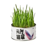 PETKIT PETKIT 元氣貓草罐   正面圖