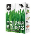 汪喵星球 汪喵星球 dogcatstar 汪喵生菜新鮮栽培盒   正面圖