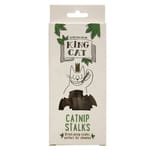 King King Catnip 貓玩具 Dental Sticks 貓貓磨牙棒 10g 10g  正面圖