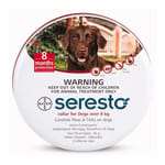 Bayer Bayer Seresto Large Dog Collar over 8kg 8kg  正面圖