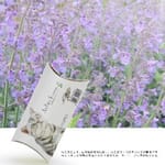Aduck Aduck 放鬆減壓興奮天然貓薄荷   正面圖