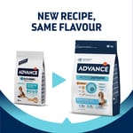 ADVANCE ADVANCE 狗糧 日常護理 懷孕或產後狗媽媽及初生BB狗糧 3kg 3kg  正面圖