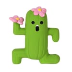 QMONSTER QMONSTER 仙人掌 正面圖