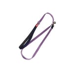 GiGwi GiGwi Collar Classic Line 寵物牽繩 紫 S   正面圖