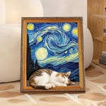 貓抓板之名畫系列 貓抓板之名畫系列 貓玩具 星夜 1個   正面圖