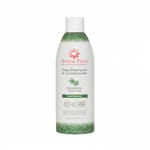 Aroma Aroma Paws 毛髮再生抗菌洗護二合一 迷迭香茶樹洗毛護毛素 13.5oz 5oz 犬用 正面圖