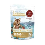 Real Real Power瑞威 貓糧 天然平衡貓糧 幼貓 腸胃護膚配方 500g 500g  正面圖