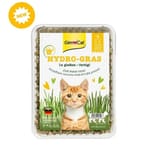 Gim Gim Cat  簡易種植貓草 150g 150g  正面圖