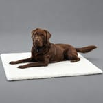 Full Full Creation 人造羊毛床 thermo bed 48cm x 38cm   正面圖