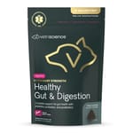 VetriScience VetriScience 腸道健康 犬貓通用 60粒/袋 60粒  正面圖