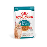 Royal Canin Royal Canin 法國皇家 貓濕糧 FHN 老齡貓15+ 主食濕糧  85g 85g  正面圖