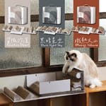Pettellyava Pettellyava Mystery Box 貓抓板 盲盒   正面圖