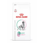 Royal Canin 處方糧 法國皇家狗糧 成犬飽足感+關節處方 1.5kg (4111200) 狗糧 Royal Canin 處方糧 寵物用品速遞