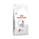 Royal Canin 處方糧 Royal Canin 處方糧 法國皇家狗糧 成犬腎臟+關節處方 3.5kg (4111000)