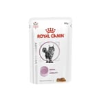 Royal Canin 處方糧 Royal Canin 處方糧 法國皇家 貓濕糧 RENAL+MOBILITY 腎臟+關節處方 (肉汁) 85g (4111500)