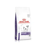 Royal Canin 處方糧 法國皇家狗糧 DENTAL 小型犬牙齒護理健康管理處方 1.5kg (3094600) 狗糧 Royal Canin 處方糧 寵物用品速遞