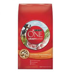 Purina Purina ONE 成犬雞肉及飯配方 Chicken & Rice 4lb 4lb  正面圖