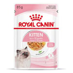 Royal Canin Royal Canin 法國皇家 Kitten 貓濕糧 幼貓營養主食濕糧  85g 85g  正面圖