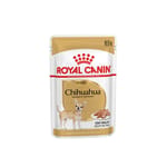 Royal Canin Royal Canin 法國皇家 狗濕糧 芝娃娃成犬專屬主食濕糧  85g 85g  正面圖