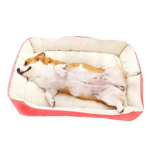 寵物床 寵物床 防滑厚身 M碼 70  貓犬用 正面圖