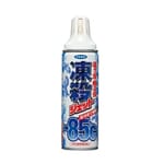 日本-85度瞬間凍殺殺蟲劑 日本-85度瞬間凍殺殺蟲劑 寵物安全 300ml 300ml  正面圖