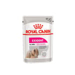 Royal Canin Royal Canin 法國皇家 狗濕糧 成犬挑嘴加護主食濕糧  85g 85g  正面圖